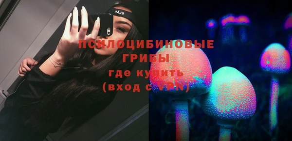дмт Гусь-Хрустальный