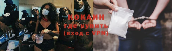 дмт Гусь-Хрустальный