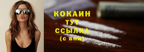 дмт Гусь-Хрустальный