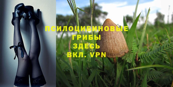 стафф Горно-Алтайск