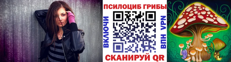 Галлюциногенные грибы Cubensis  Купить  Козловка 